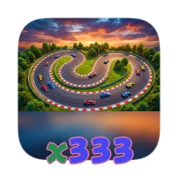 x333